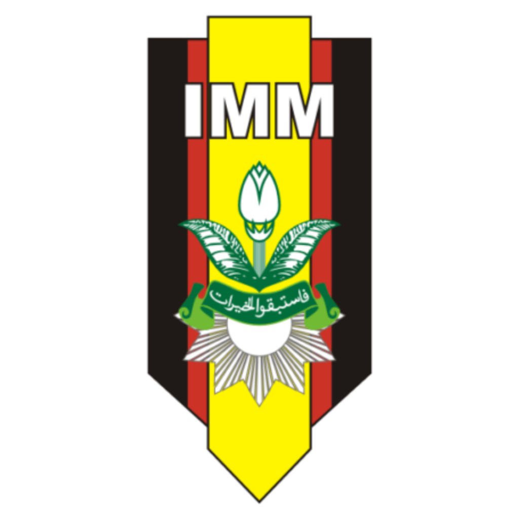Logo IMM